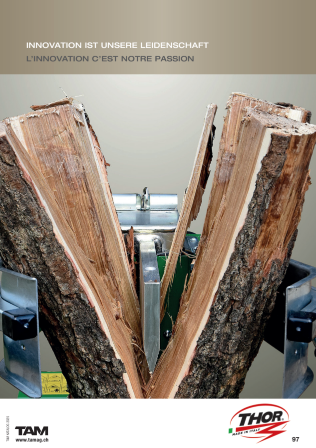 Image de 8_THOR_2025.pdf