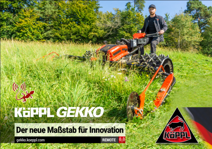 Image de Köppl_GEKKO_2022.pdf